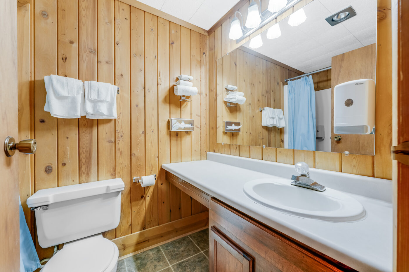 21507 Seneca Trail, Marlinton, WV-30