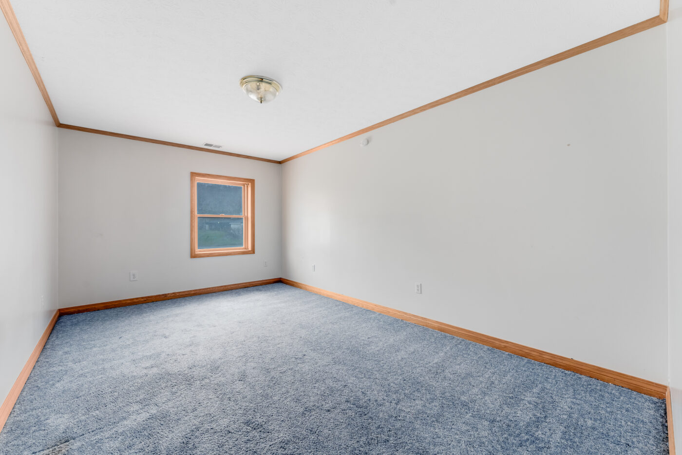 154 Bridge Street, Junior, WV-36