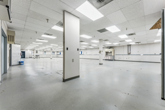 501 Locust Ave-11
