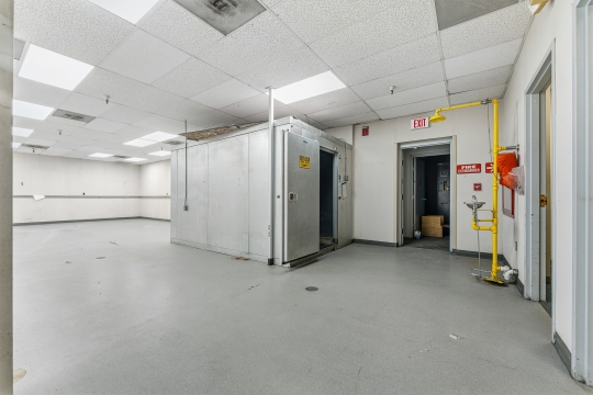 501 Locust Ave-12